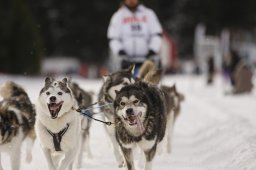 Lenzerheide 2013